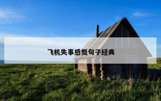 飞机失事感慨句子经典