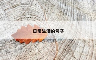 日常生活的句子