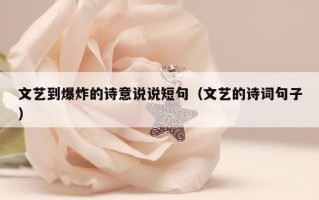 文艺到爆炸的诗意说说短句（文艺的诗词句子）