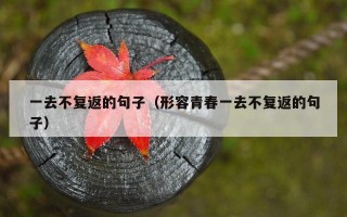 一去不复返的句子（形容青春一去不复返的句子）