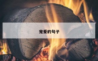宠爱的句子 宠爱的句子