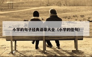 小学的句子经典语录大全（小学的佳句）