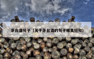 茅台酒句子（关于茅台酒的句子唯美短句）