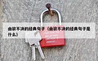 由欲不决的经典句子（由欲不决的经典句子是什么）