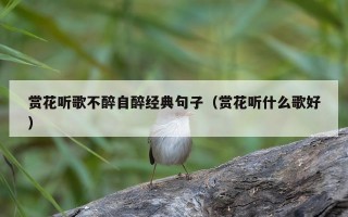 赏花听歌不醉自醉经典句子（赏花听什么歌好）