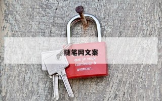 随笔网文案