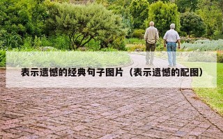 表示遗憾的经典句子图片（表示遗憾的配图）