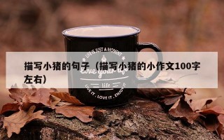 描写小猪的句子（描写小猪的小作文100字左右）