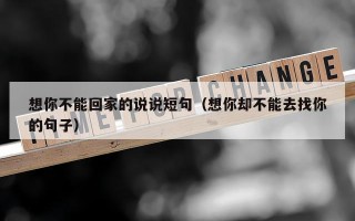 想你不能回家的说说短句（想你却不能去找你的句子）