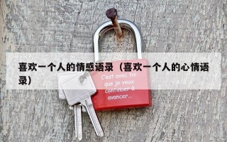 喜欢一个人的情感语录（喜欢一个人的心情语录）
