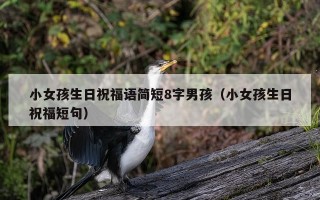 小女孩生日祝福语简短8字男孩（小女孩生日祝福短句）