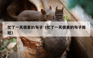 忙了一天很累的句子（忙了一天很累的句子简短）