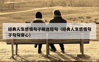 经典人生感悟句子精选短句（经典人生感悟句子句句穿心）