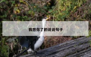我想你了的说说句子 我想你了的说说句子