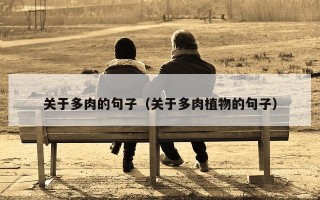 关于多肉的句子（关于多肉植物的句子）