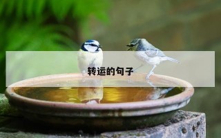 转运的句子