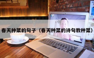 春天种菜的句子（春天种菜的诗句教种菜）