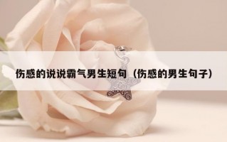 伤感的说说霸气男生短句（伤感的男生句子）