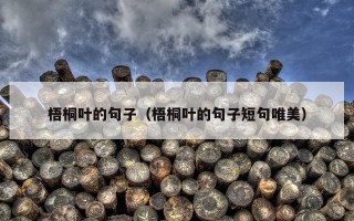梧桐叶的句子（梧桐叶的句子短句唯美）