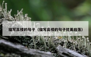 描写高楼的句子（描写高楼的句子优美段落）