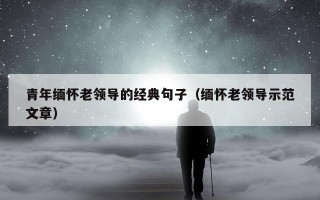 青年缅怀老领导的经典句子（缅怀老领导示范文章）