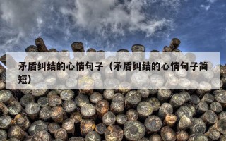 矛盾纠结的心情句子（矛盾纠结的心情句子简短）