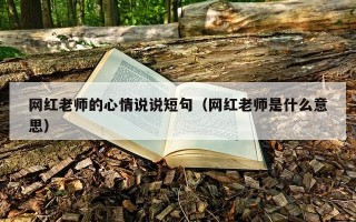 网红老师的心情说说短句（网红老师是什么意思）