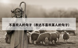 不喜欢人的句子（表达不喜欢某人的句子）
