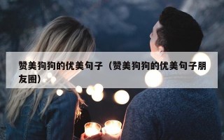 赞美狗狗的优美句子（赞美狗狗的优美句子朋友圈）