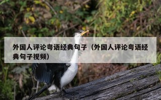 外国人评论粤语经典句子（外国人评论粤语经典句子视频）