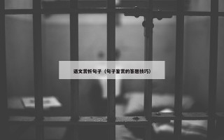 语文赏析句子（句子鉴赏的答题技巧）