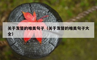 关于发簪的唯美句子（关于发簪的唯美句子大全）