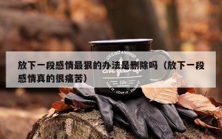 放下一段感情最狠的办法是删除吗（放下一段感情真的很痛苦）