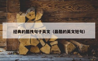 经典的酷拽句子英文（最酷的英文短句）