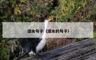 泪水句子（泪水的句子）