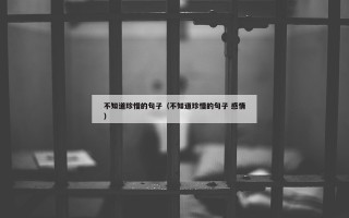 不知道珍惜的句子（不知道珍惜的句子 感情）