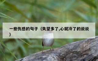 一些伤感的句子（失望多了,心就冷了的说说）
