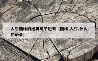 人生随缘的经典句子短句（随缘,人生,什么的语录）
