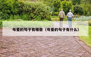 母爱的句子有哪些（母爱的句子有什么）