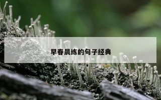 早春晨练的句子经典