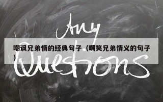 嘲讽兄弟情的经典句子（嘲笑兄弟情义的句子）