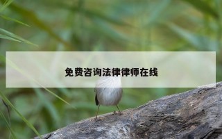 免费咨询法律律师在线