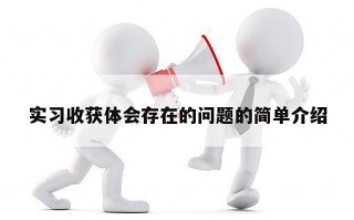 实习收获体会存在的问题的简单介绍