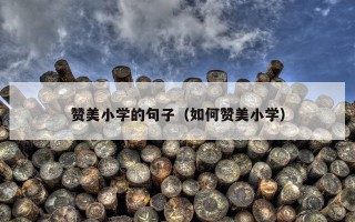 赞美小学的句子（如何赞美小学）