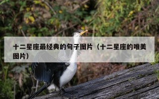 十二星座最经典的句子图片（十二星座的唯美图片）