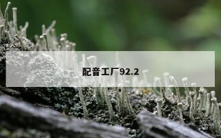 配音工厂92.2