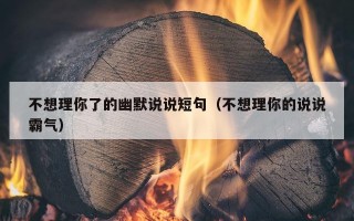 不想理你了的幽默说说短句（不想理你的说说霸气）