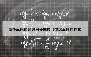 缅怀王伟的经典句子图片（悼念王伟的作文）