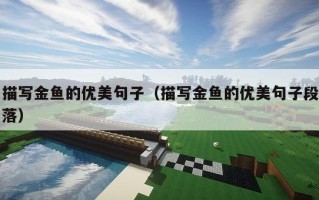 描写金鱼的优美句子（描写金鱼的优美句子段落）