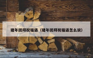 猪年团拜祝福语（猪年团拜祝福语怎么说）
